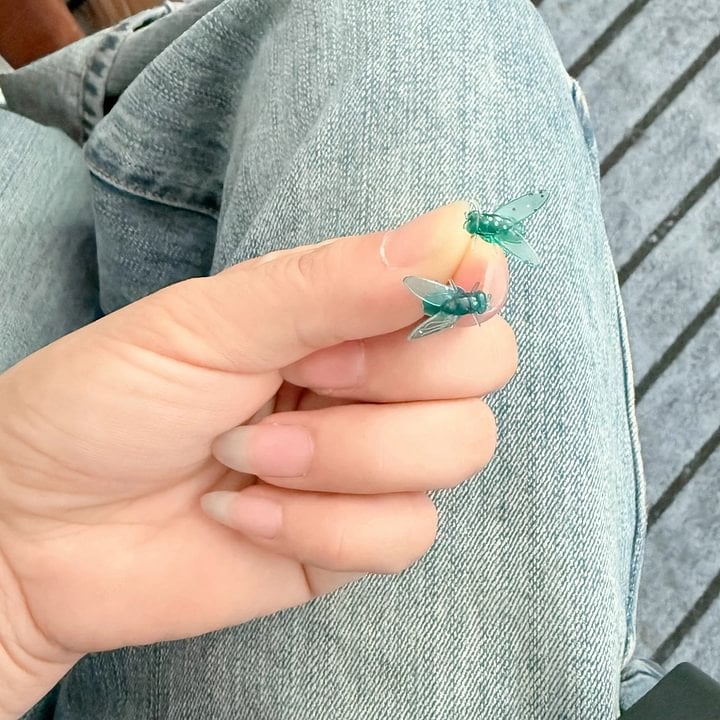 Mini personalized simulated black fly unique earrings