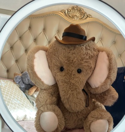 Brown Jointed Elephant