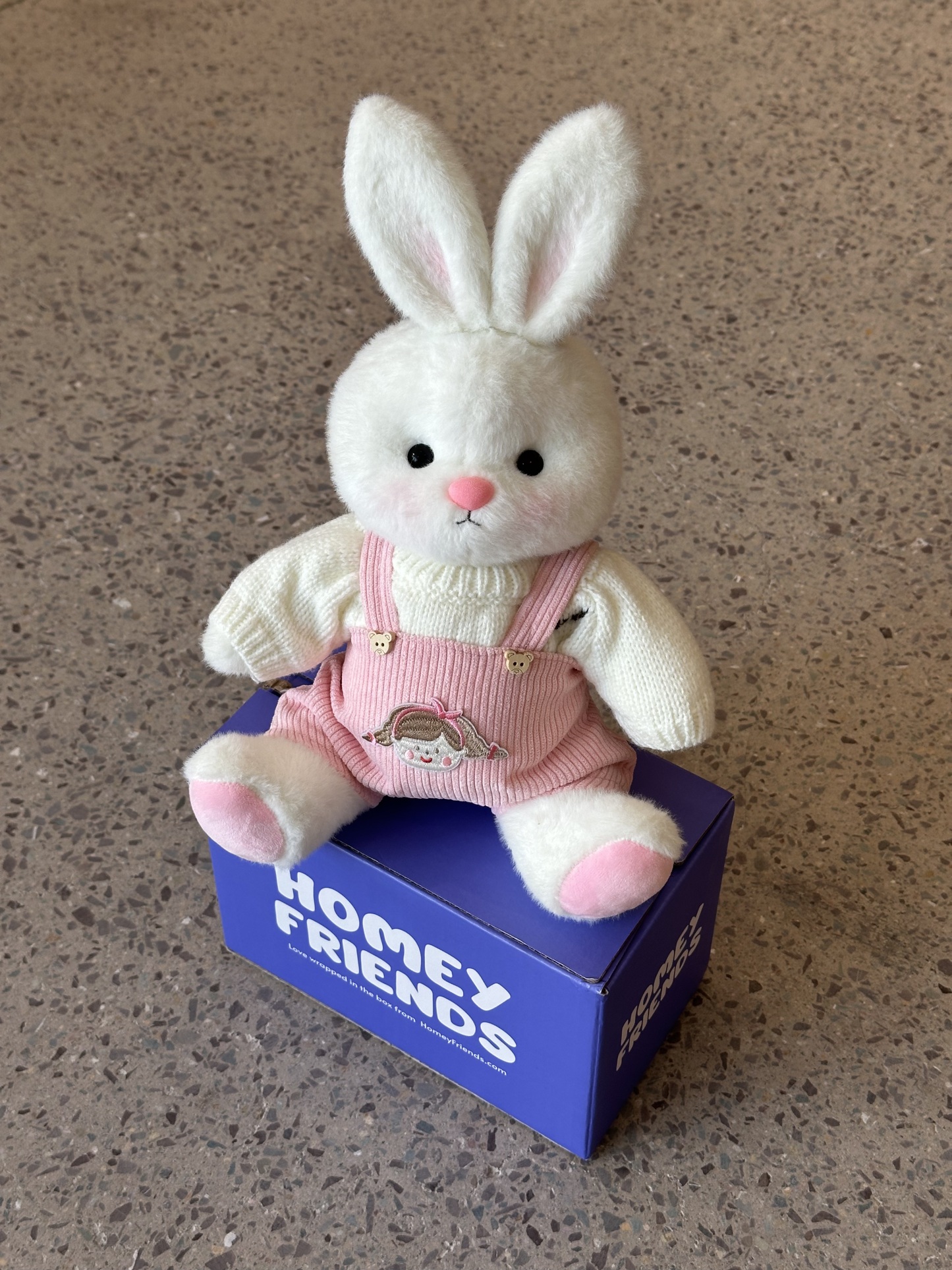 Homeyfriends Cute Jointed Bunny With Pink Overalls Outfit