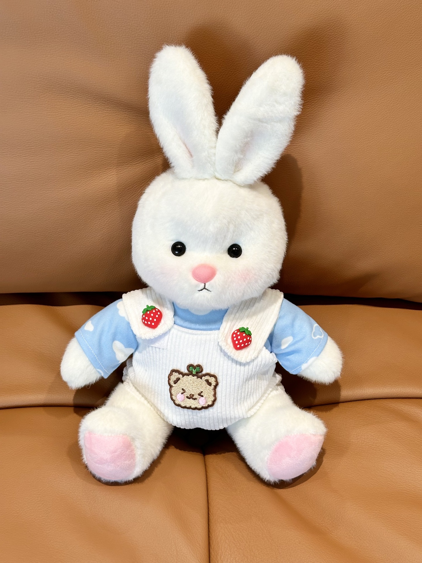 Homeyfriends Cute Jointed Bunny With Cloud T-shirt And Strawberry Button Overalls