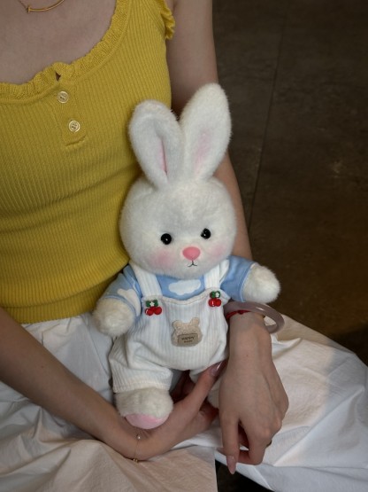 Homeyfriends Cute Jointed Bunny With Strawberry Overalls