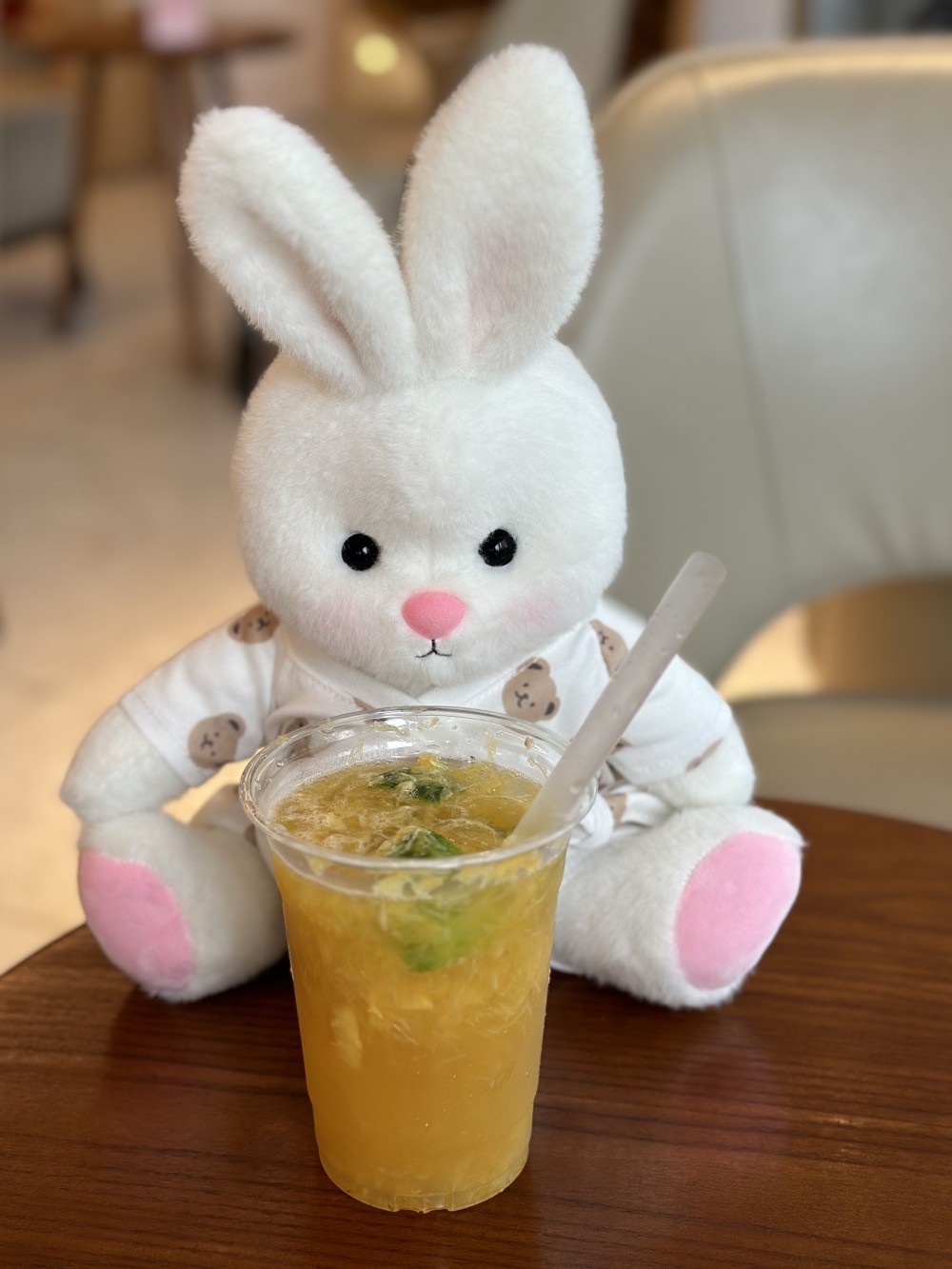 Homeyfriends Cute Jointed Bunny With Bear pajamas