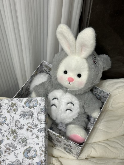 Homeyfriends Cute Jointed Bunny With Totoro Outfit