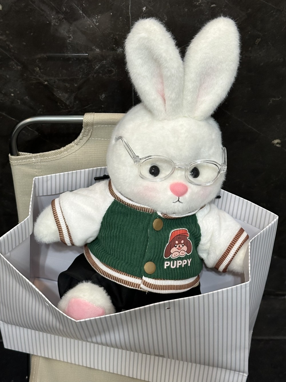 Homeyfriends Cute Jointed Bunny With Green Puppy Jacket
