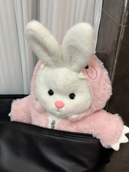 Homeyfriends Cute Jointed Bunny With Pink Dinosaur Outfit