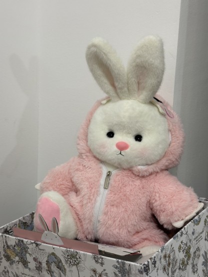 Homeyfriends Cute Jointed Bunny With Pink Dinosaur Outfit