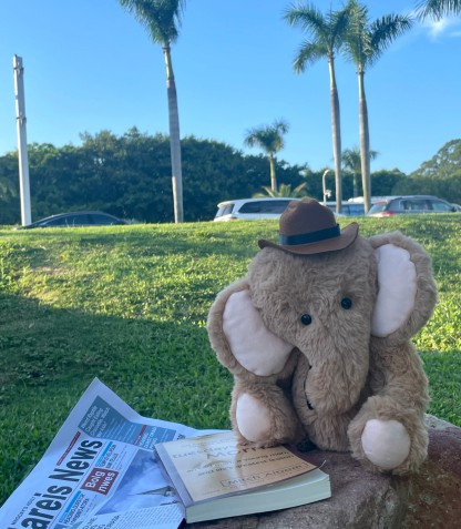 Brown Jointed Elephant