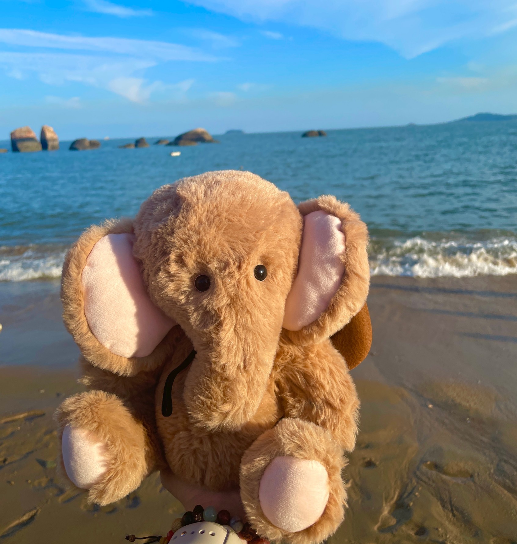 Brown Jointed Elephant