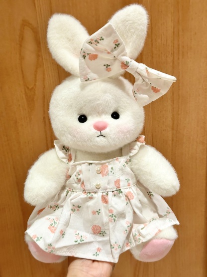 Homeyfriends Cute Jointed Bunny With Pink Floral Pearl Dress Set