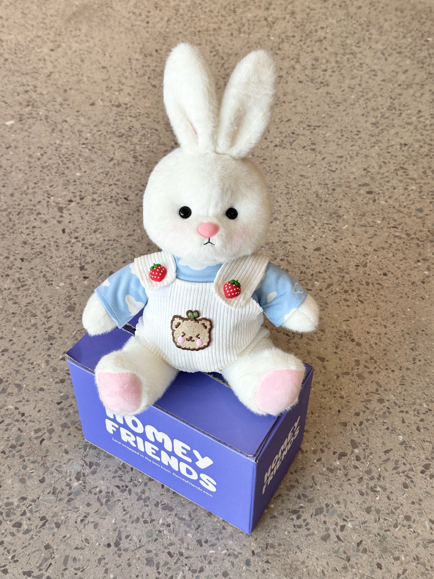 Homeyfriends Cute Jointed Bunny With Cloud T-shirt And Strawberry Button Overalls