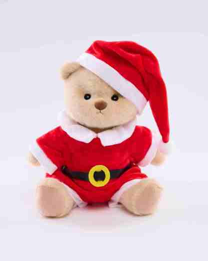 Homeyfriends Bear With Santa Claus Outfit