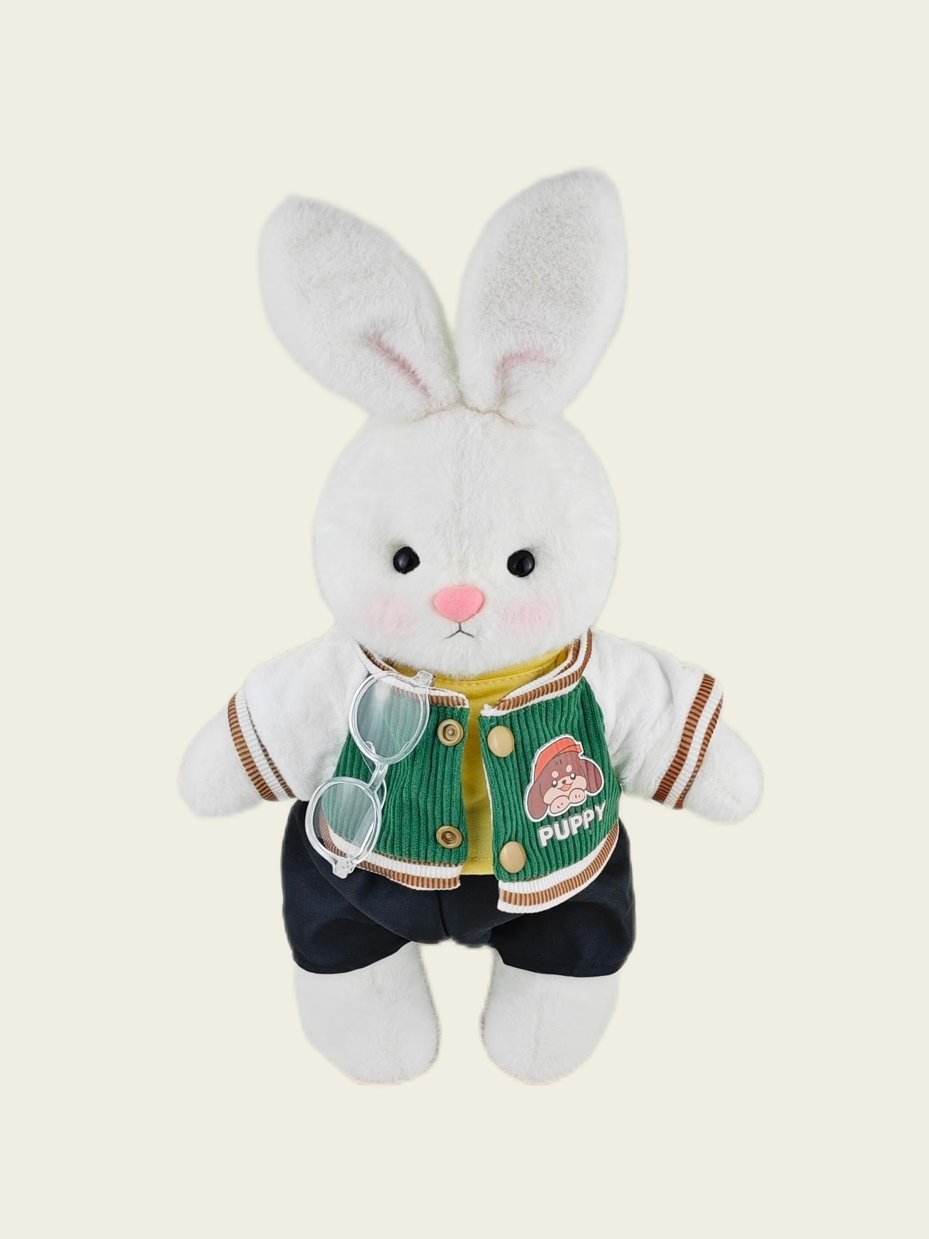 Homeyfriends Cute Jointed Bunny With Green Puppy Jacket