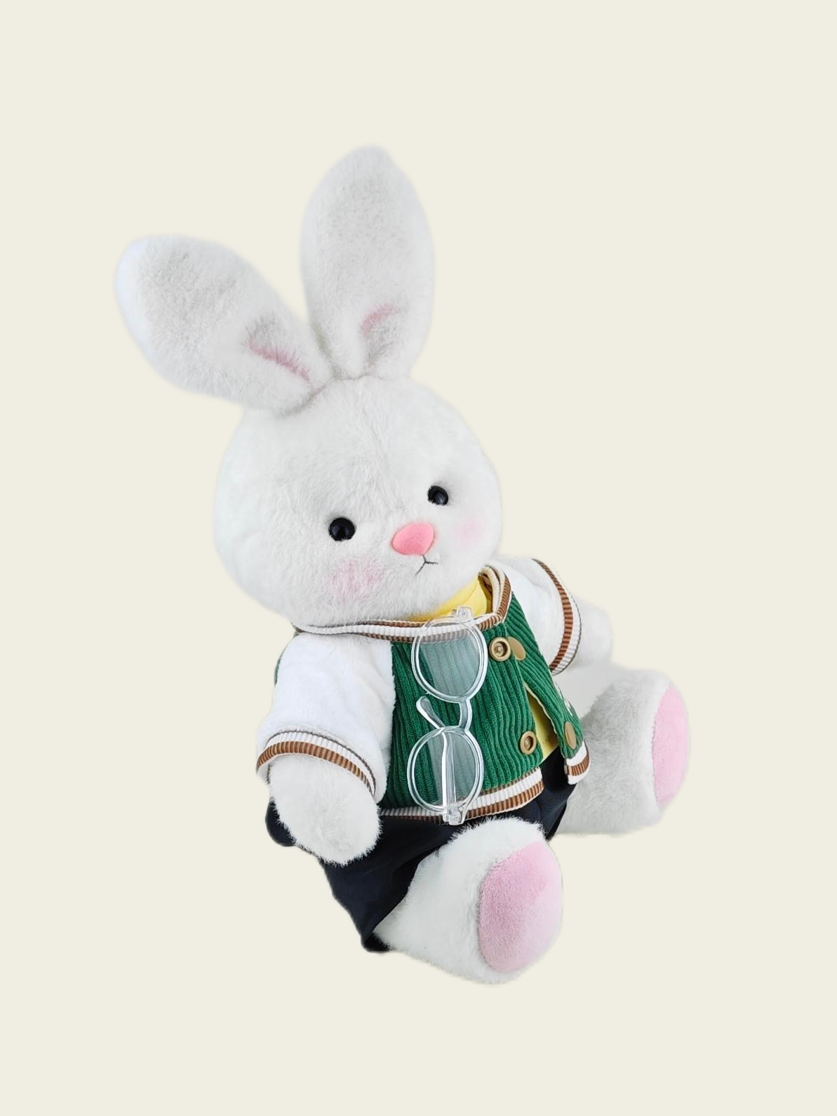 Homeyfriends Cute Jointed Bunny With Green Puppy Jacket