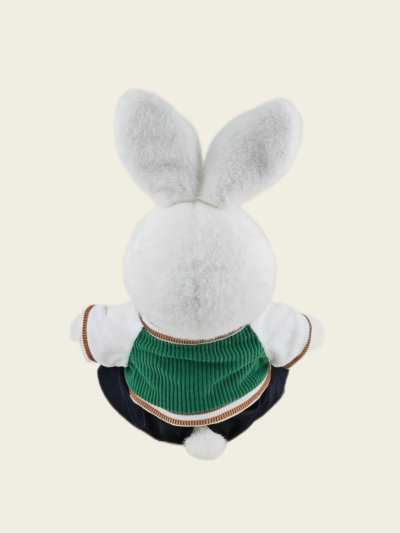 Homeyfriends Cute Jointed Bunny With  Green Puppy Jacket​​