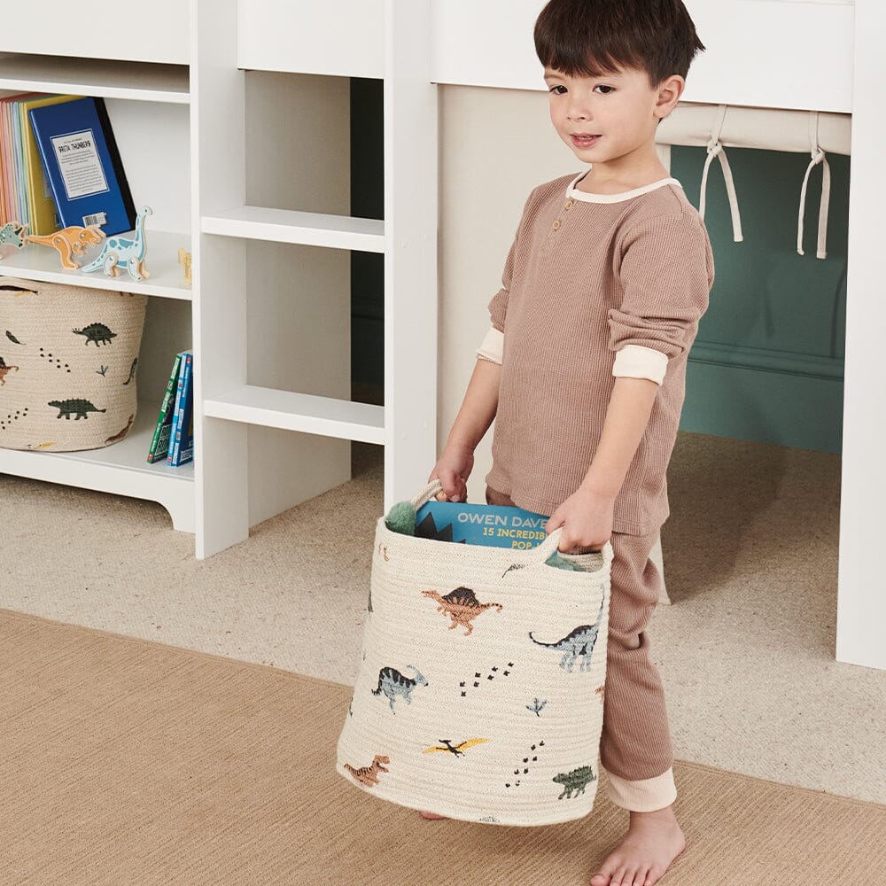 Dinosaur storage basket discount