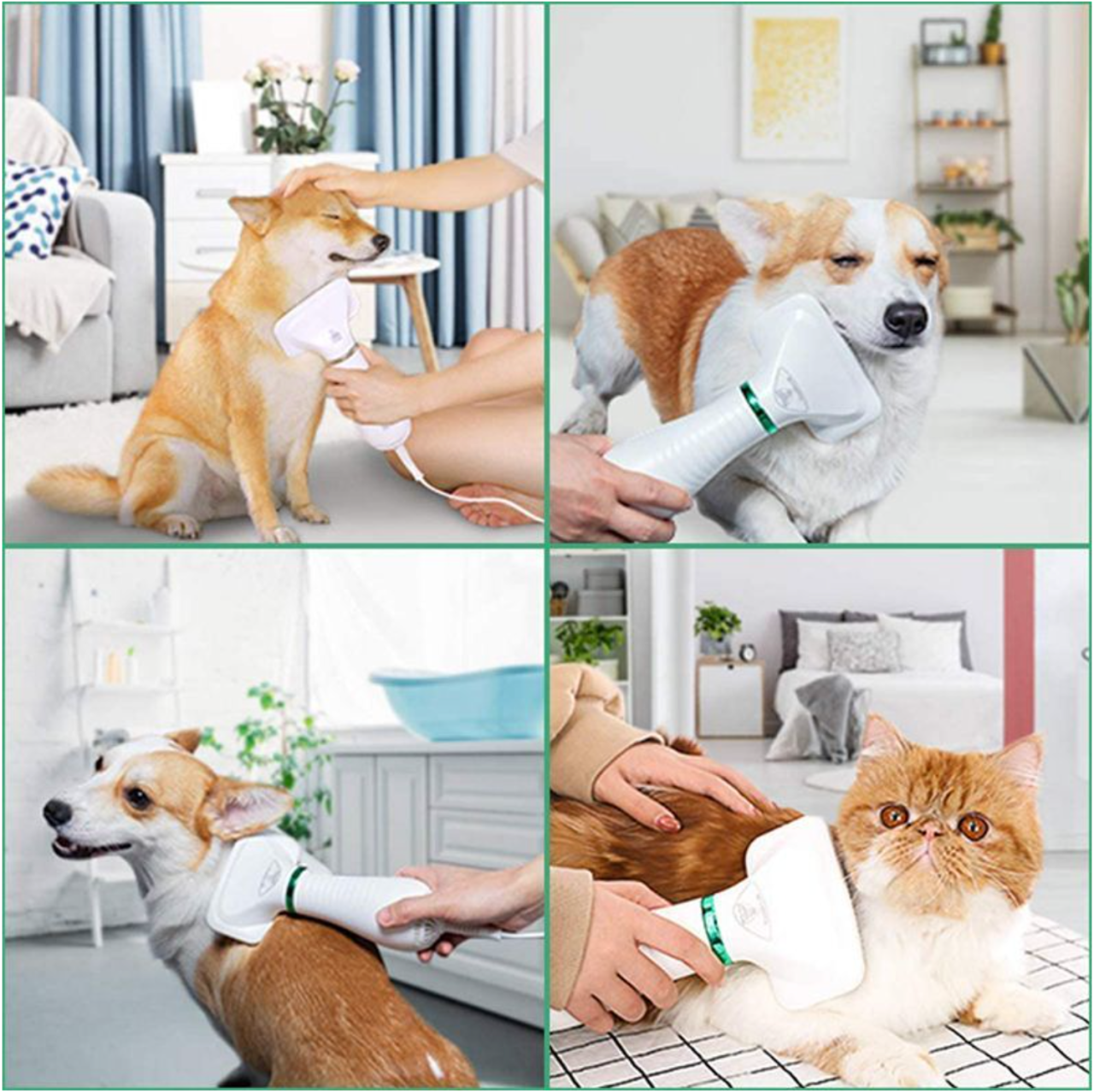 2-in-1 Dryer for Pets