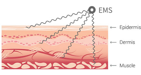 Bio-EMS Acupoint Massager Mat