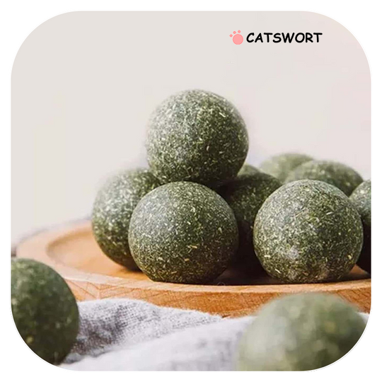 Catswort™ Catnip Ball