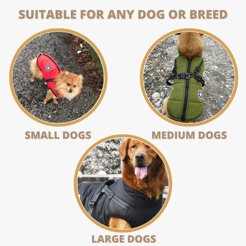 DoggyKings 3 in 1 Jacket