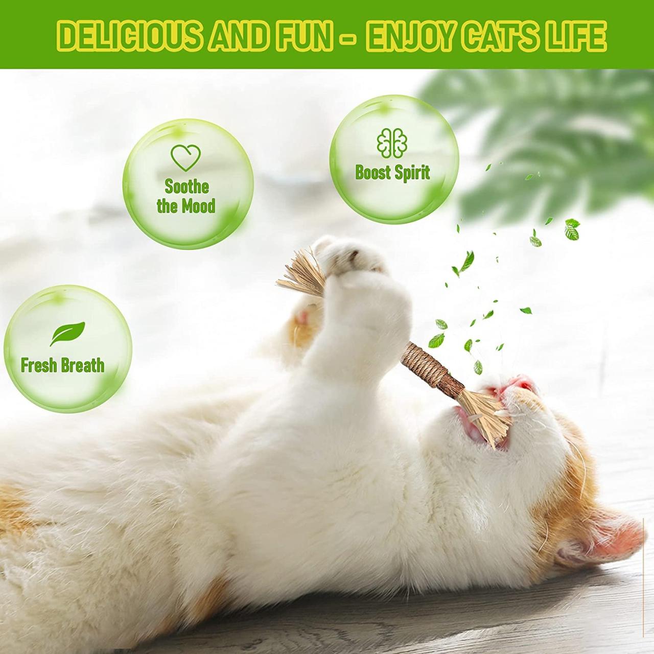 EARLY CHRISTMAS SALE - 48% OFF-Silvervine Sticks for Cats-BUY 5 GET 5 FREE