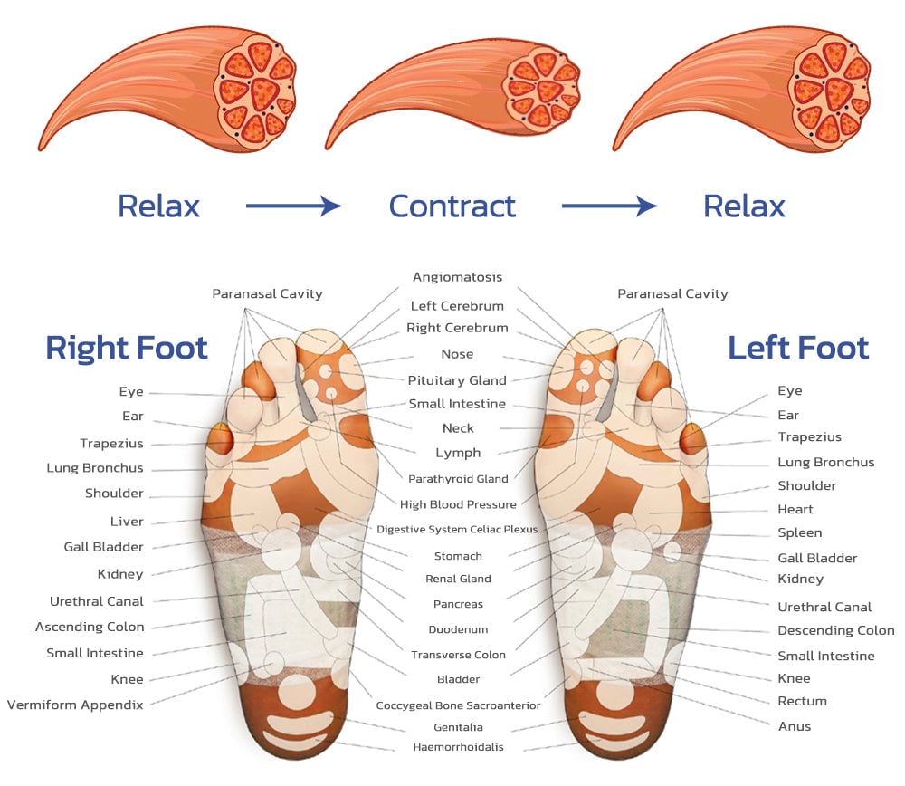 Modaliche EMS Acupoints Stimulator Massage Foot Mat