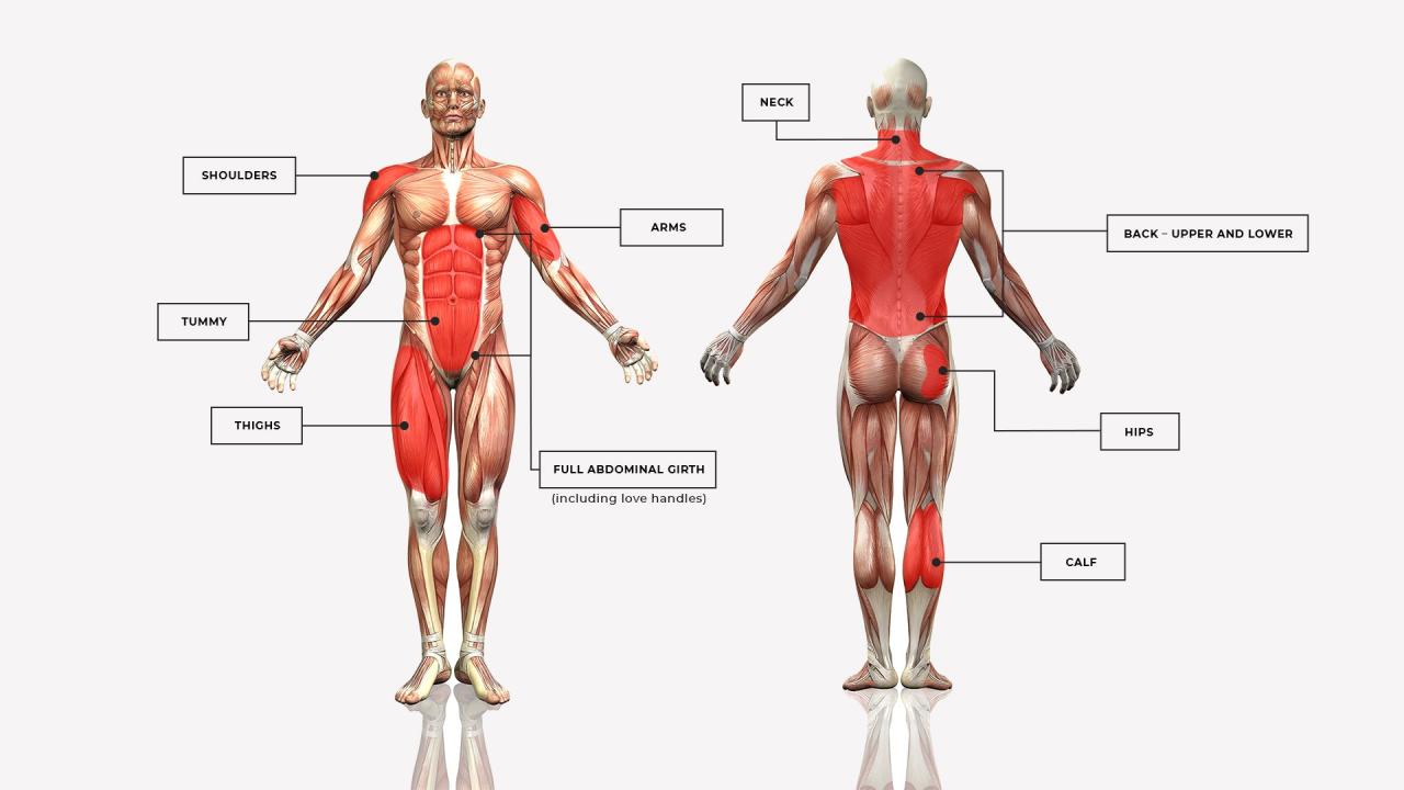 EMS Bioelectric Therapy Acupoint Massaging Body Shaping Mat(especially for varicose veins)