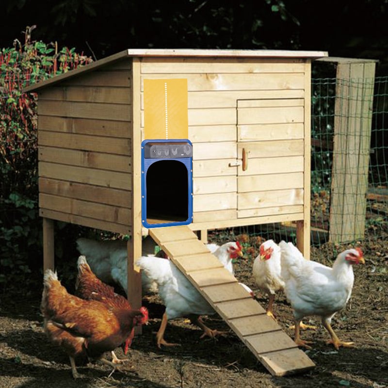 (Flash Sale- 40% OFF)-Automatic Chicken House Door