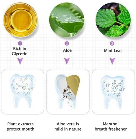 Natural Plant Substance - Pet Teeth Repairing Kit