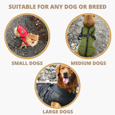 Puppy Puffer Insulated Jacket for Dogs of All Sizes - 2022 Winter Sale