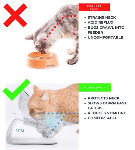 PurrBowl™ Orthopedic Anti-Vomiting Cat Feeder