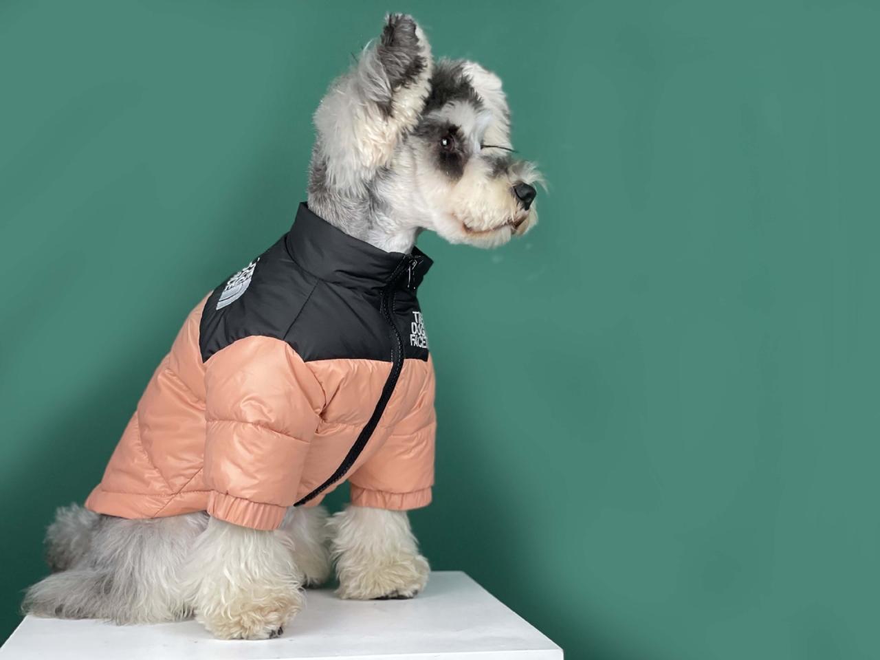 The Dog Face Puffer Coat