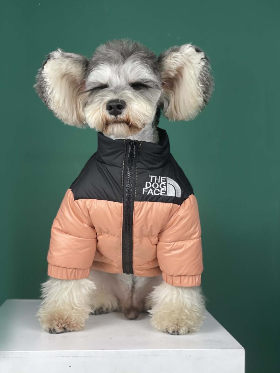 The Dog Face Puffer Coat