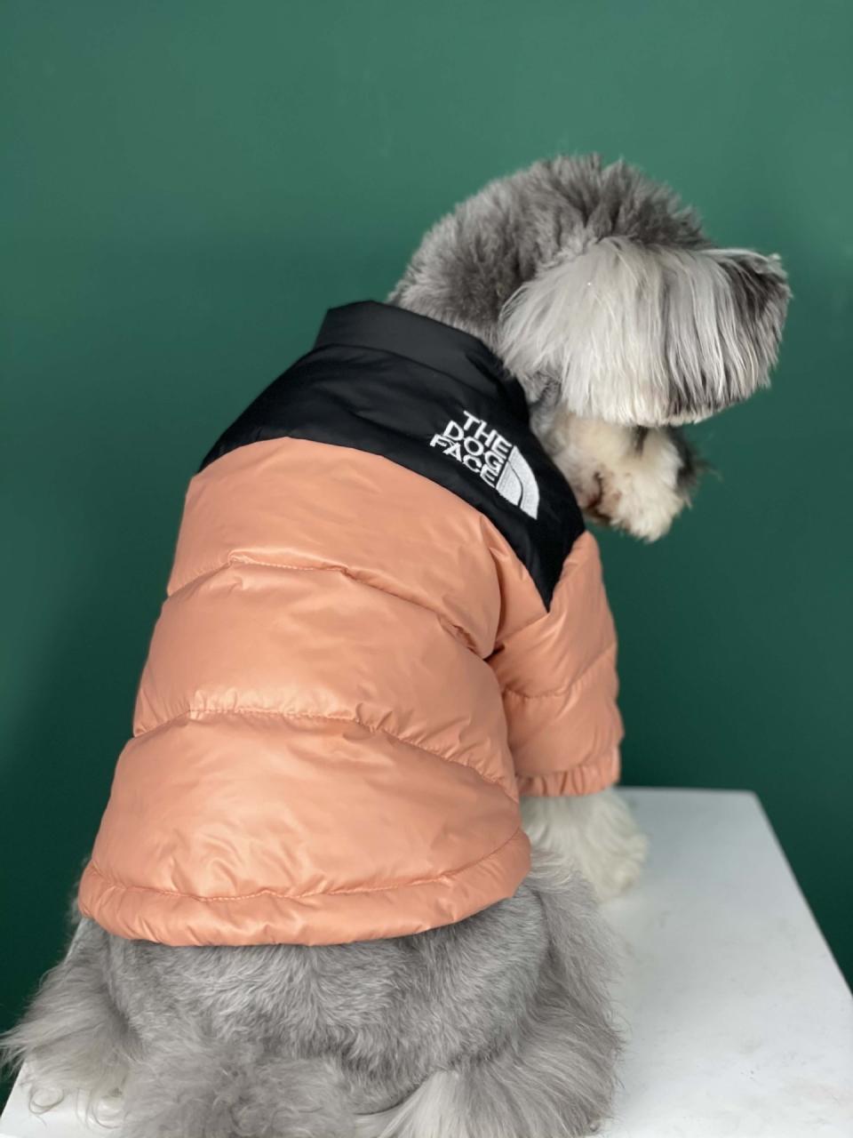 The Dog Face Puffer Coat