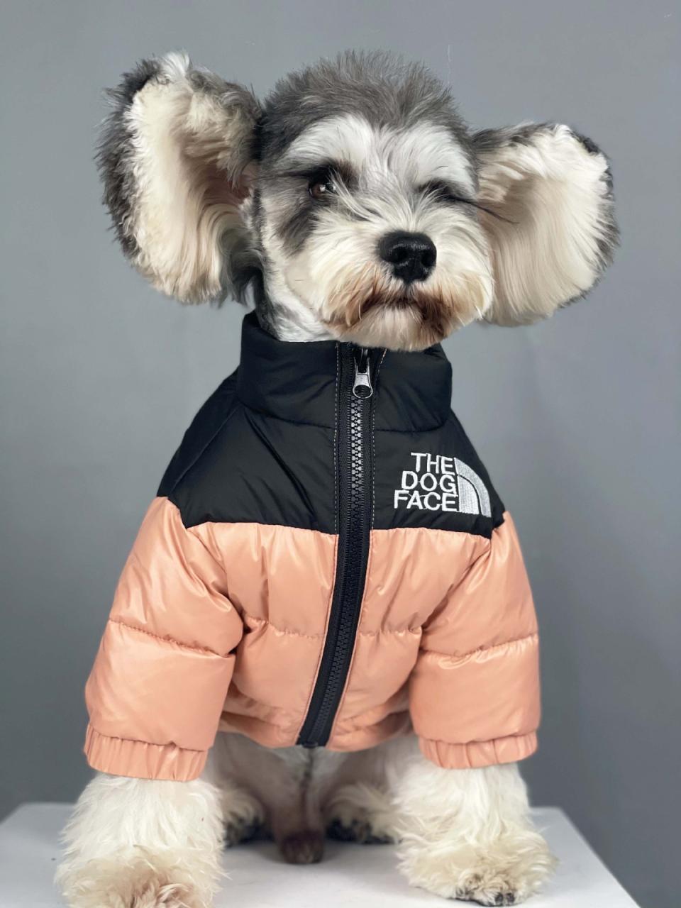 The Dog Face Puffer Coat