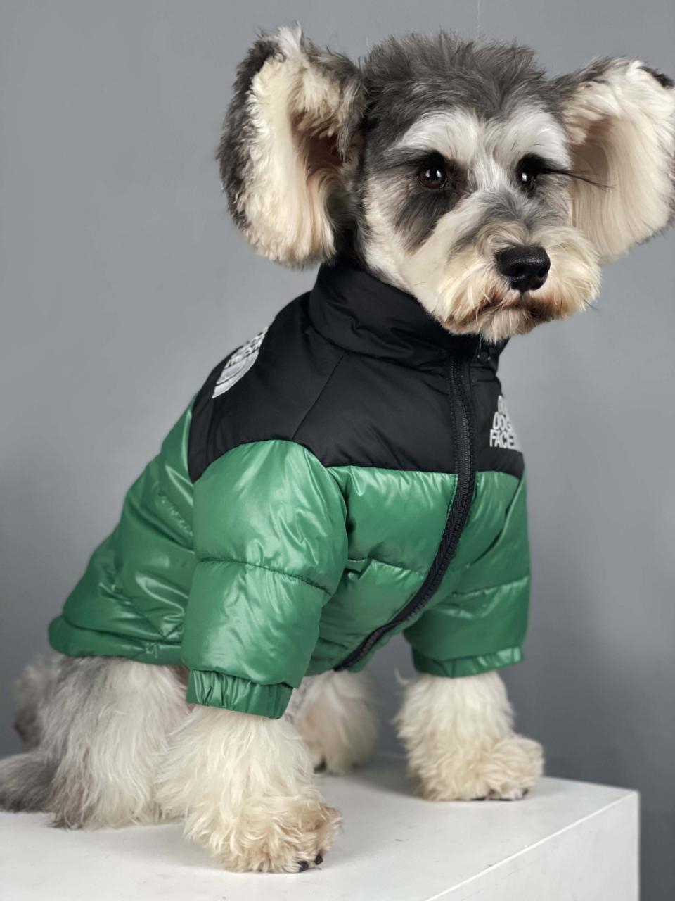 The Dog Face Puffer Coat