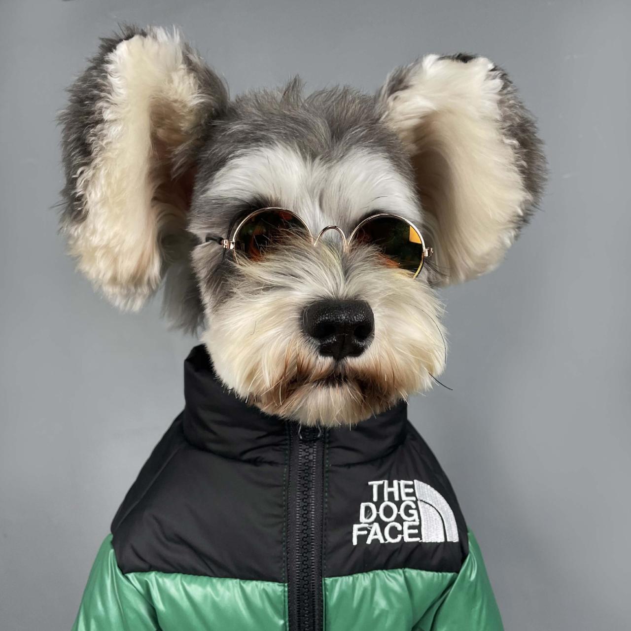 The Dog Face Puffer Coat