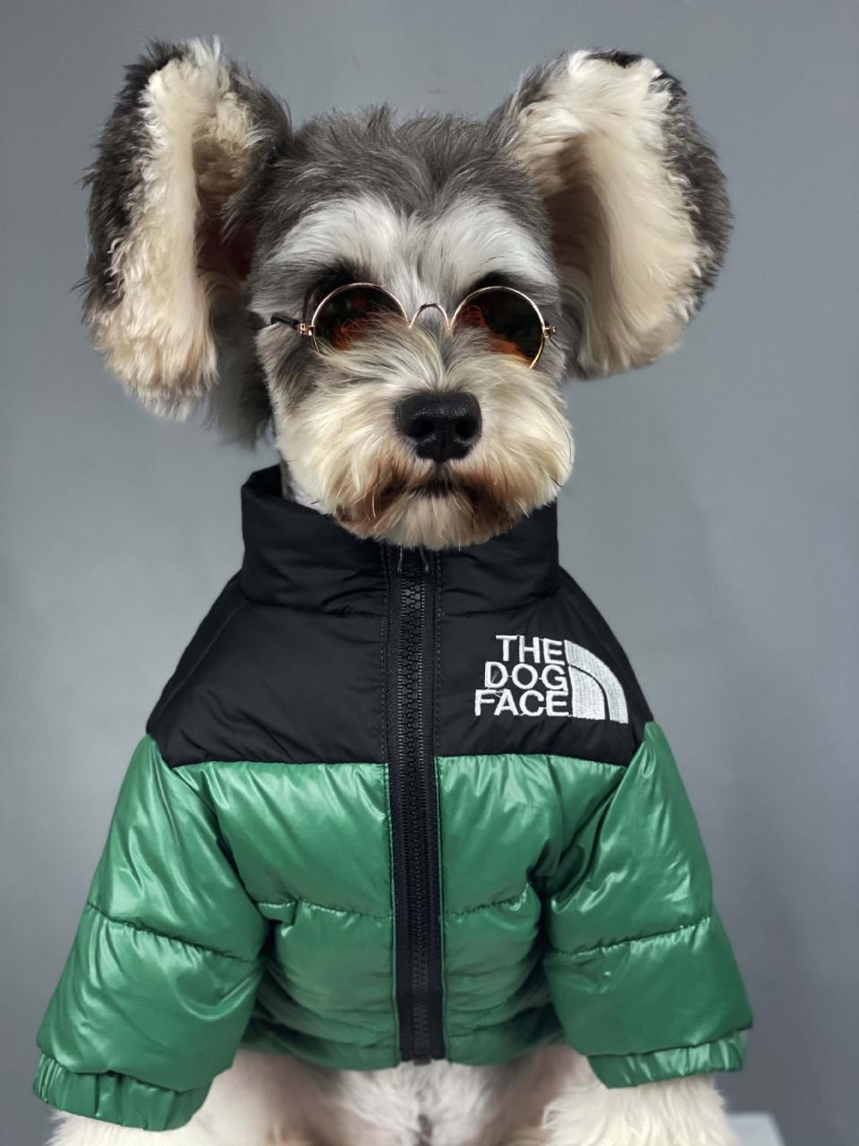 The Dog Face Puffer Coat