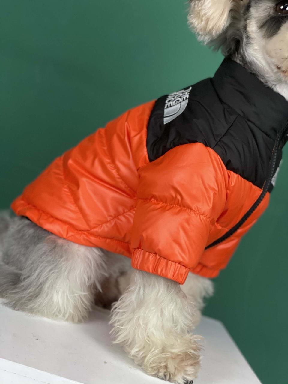 The Dog Face Puffer Coat