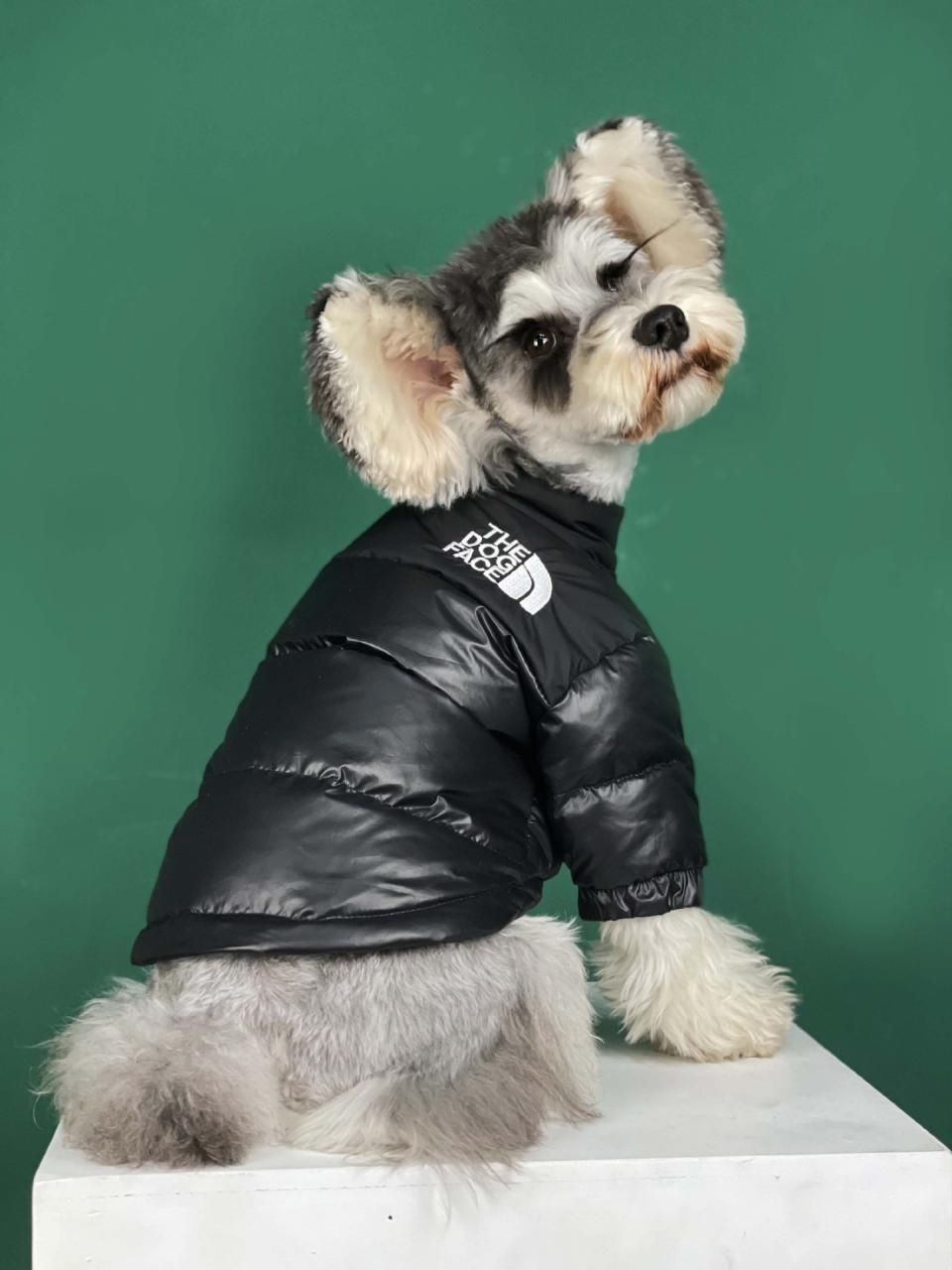 The Dog Face Puffer Coat