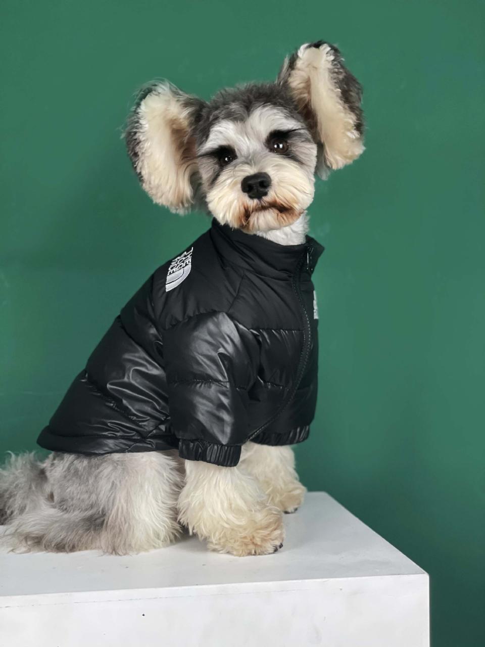 The Dog Face Puffer Coat