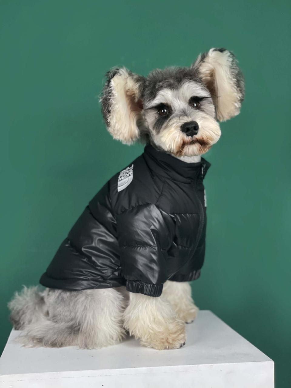 The Dog Face Puffer Coat