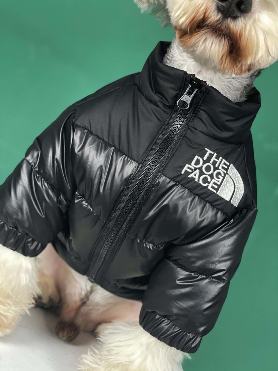 The Dog Face Puffer Coat