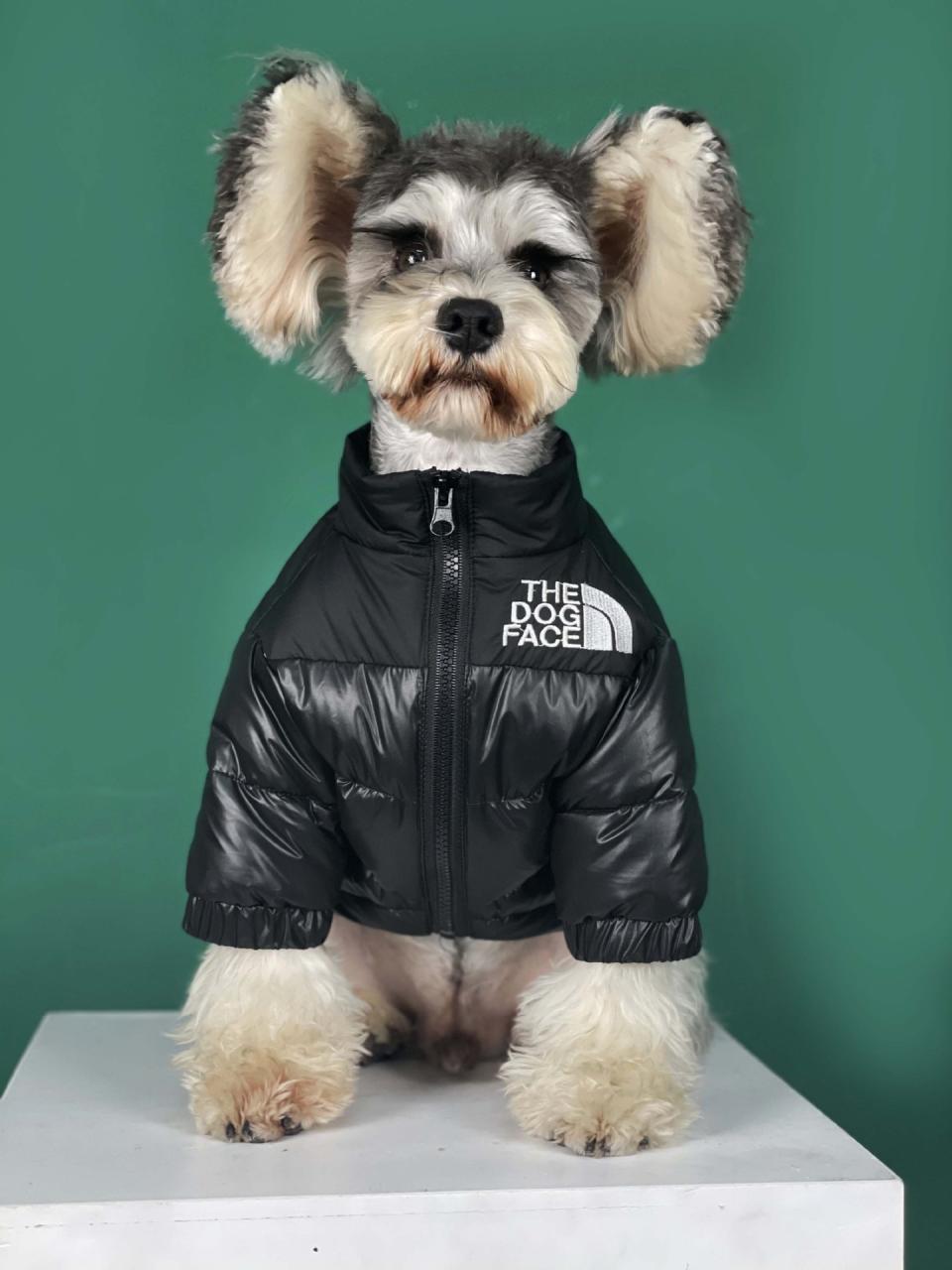 The Dog Face Puffer Coat