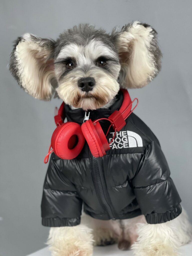 The Dog Face Puffer Coat