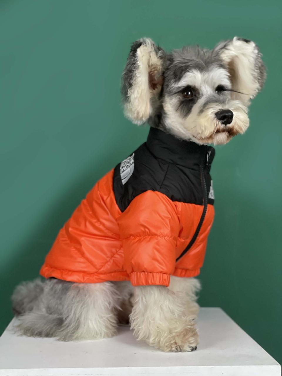 The Dog Face Puffer Coat