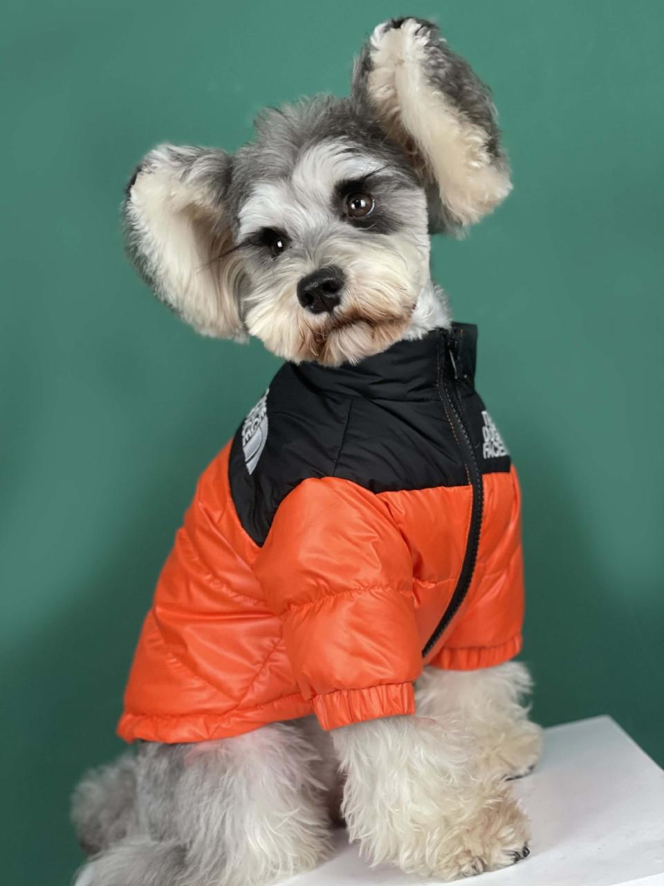 The Dog Face Puffer Coat