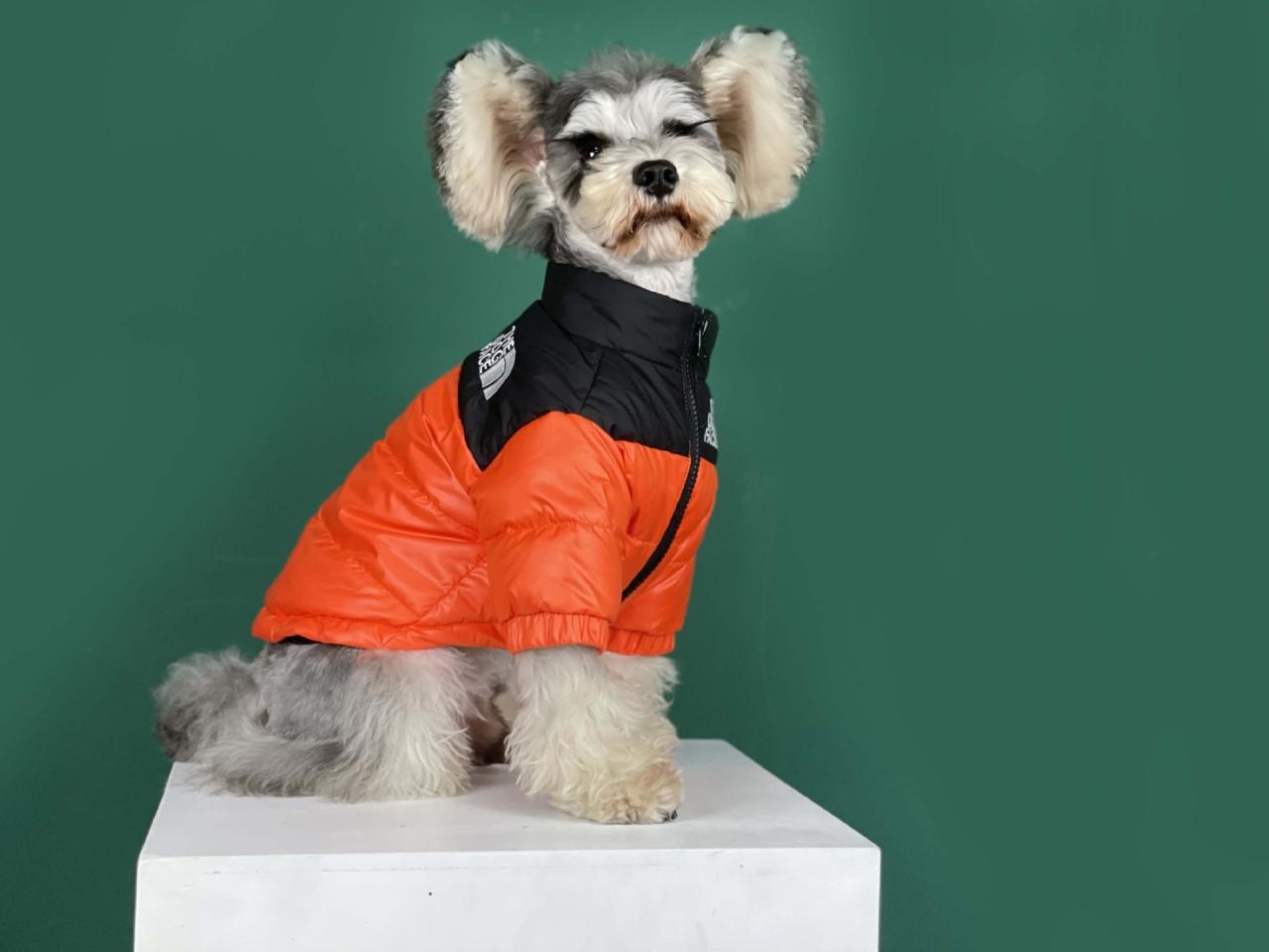 The Dog Face Puffer Coat