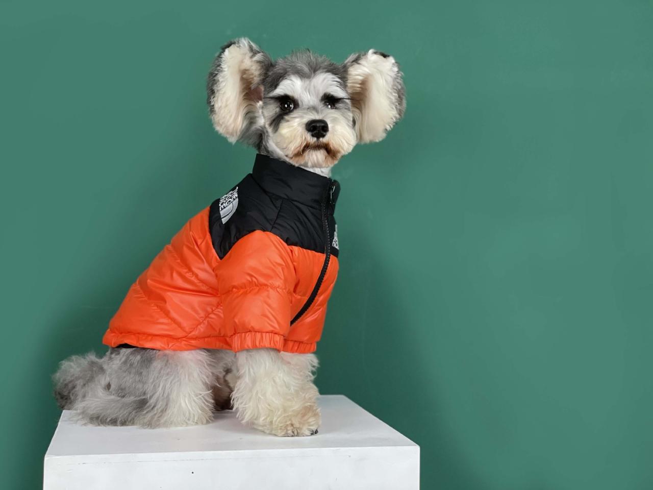 The Dog Face Puffer Coat