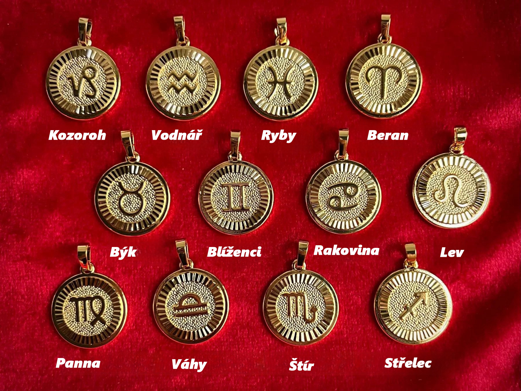 🌟🌈Předobjednejte si dvanáct exkluzivních zlatých a stříbrných náhrdelníků zvěrokruhu✨🎁 (unisex)