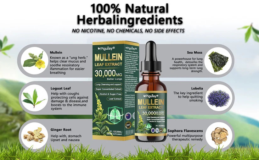  Orange Scented Candle Diffuser Set